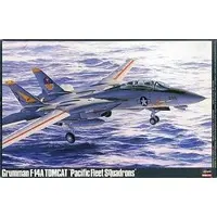 1/48 Scale Model Kit - Fighter aircraft model kits / F-14