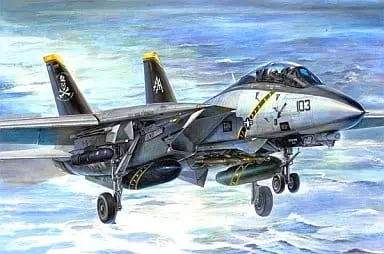 1/32 Scale Model Kit - Fighter aircraft model kits / F-14