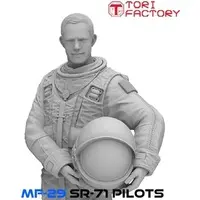 1/72 Scale Model Kit - Military miniature figure series