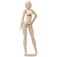 Plastic Model Kit - Movable Body