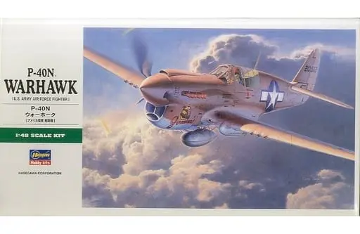 1/48 Scale Model Kit - Fighter aircraft model kits / Curtiss P-40
