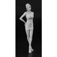 1/12 Scale Model Kit - 12 Real Figure Collection
