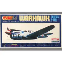 1/144 Scale Model Kit - Fighter aircraft model kits / Curtiss P-40