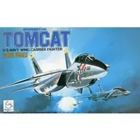 1/100 Scale Model Kit - Fighter aircraft model kits / F-14