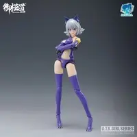 Plastic Model Kit - A.T.K.GIRL