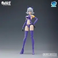 Plastic Model Kit - A.T.K.GIRL