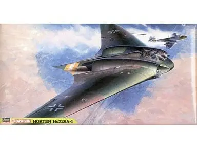 1/48 Scale Model Kit - Fighter aircraft model kits / Horten Ho 229