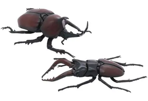 Plastic Model Kit - Jiyuu Kenkyuu Series / Stag beetle & Beetle
