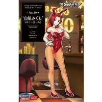 1/12 Scale Model Kit - Tamago Girls (Egg Girls)