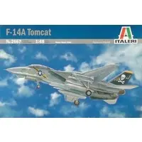 1/48 Scale Model Kit - Fighter aircraft model kits / F-14