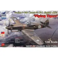 1/48 Scale Model Kit - Fighter aircraft model kits