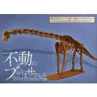 Paper kit - Dinosaur Model Kits