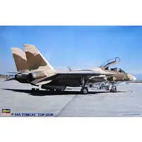 1/72 Scale Model Kit - Fighter aircraft model kits / F-14