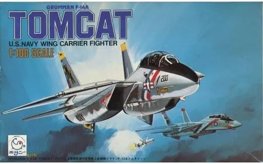 1/100 Scale Model Kit - Fighter aircraft model kits / F-14