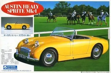 1/24 Scale Model Kit - Vehicle