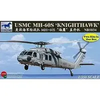 1/350 Scale Model Kit (1/350 米海兵隊MH-60Sナイトホーク・ヘリコプター2機入り [CB5034])
