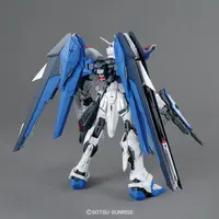 Gundam Models - MOBILE SUIT GUNDAM SEED / Freedom Gundam