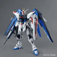 Gundam Models - MOBILE SUIT GUNDAM SEED / Freedom Gundam