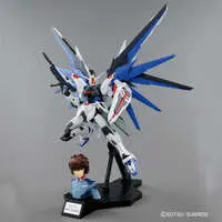 Gundam Models - MOBILE SUIT GUNDAM SEED / Freedom Gundam
