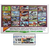 1/48 Scale Model Kit - Fighter aircraft model kits