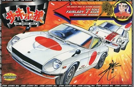 1/24 Scale Model Kit - The Circuit Wolf / FAIRLADY