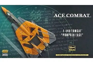 1/72 Scale Model Kit - Ace Combat / F-14