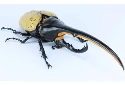 Plastic Model Kit - Jiyuu Kenkyuu Series