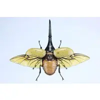 Plastic Model Kit - Jiyuu Kenkyuu Series