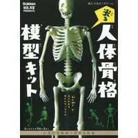 1/6 Scale Model Kit - Skeleton model