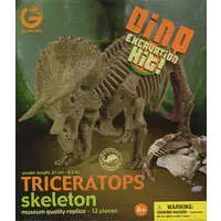 Plastic Model Kit - Dinosaur skeleton model kit