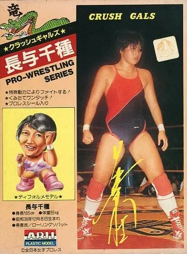 Plastic Model Kit - Pro Wrestling