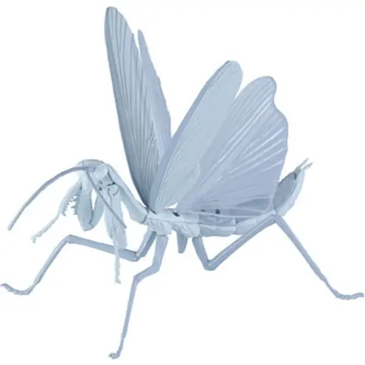 Plastic Model Kit - Hataraku Saibou (Cells at Work!) / Tenodera aridifolia