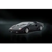 1/24 Scale Model Kit - Lamborghini / Countach