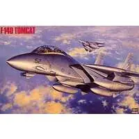 1/48 Scale Model Kit - Fighter aircraft model kits / F-14