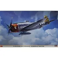 1/32 Scale Model Kit - Fighter aircraft model kits / P-47 Thunderbolt