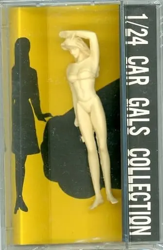 1/24 Scale Model Kit - CAR GALS COLLECTION