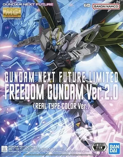 Gundam Models - MOBILE SUIT GUNDAM SEED / Freedom Gundam