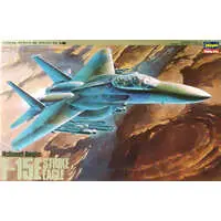 1/48 Scale Model Kit - Fighter aircraft model kits / F-15 Strike Eagle