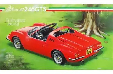 1/24 Scale Model Kit - Enthusiast Model