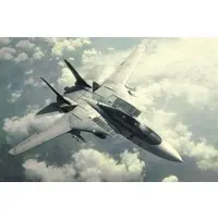 1/72 Scale Model Kit - Ace Combat / F-14