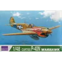 1/48 Scale Model Kit - Aircraft / Curtiss P-40