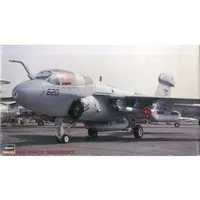 1/72 Scale Model Kit - Electronic-warfare aircraft / Northrop Grumman EA-6B Prowler