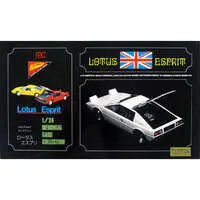 1/24 Scale Model Kit - Memorial Car Collection