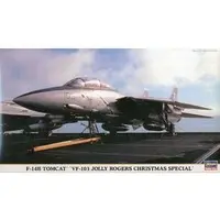 1/72 Scale Model Kit - Fighter aircraft model kits / F-14