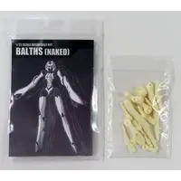 1/35 Scale Model Kit - BALTHS(NAKED)