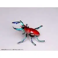 Pripra - Insect