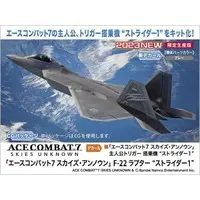 1/48 Scale Model Kit - Ace Combat / F-22 Raptor