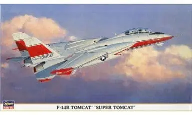 1/72 Scale Model Kit - 1/48 Scale Model Kit - Fighter aircraft model kits / F-14