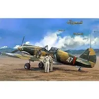 1/48 Scale Model Kit - Fighter aircraft model kits / Curtiss P-40 Warhawk