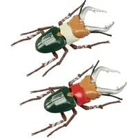 Plastic Model Kit - Insect / Beetle & Stag beetle